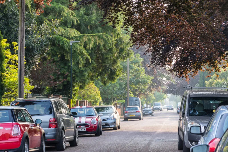Tree-lined residential street in Charminster with cars parked along both sides