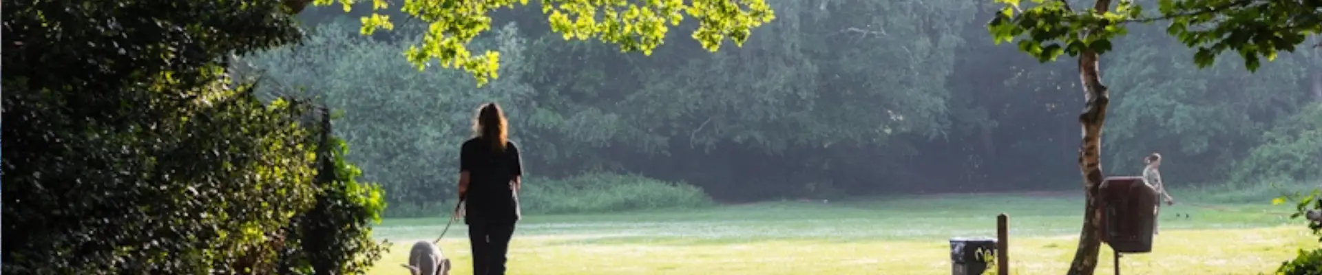 Person walking a dog across a sunlit park lined with trees